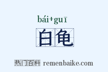 白龟是什么意思的图片